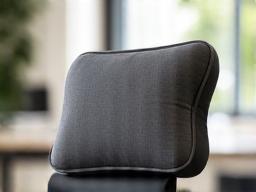 Top Bestseller: Ergonomisches Rückenkissen